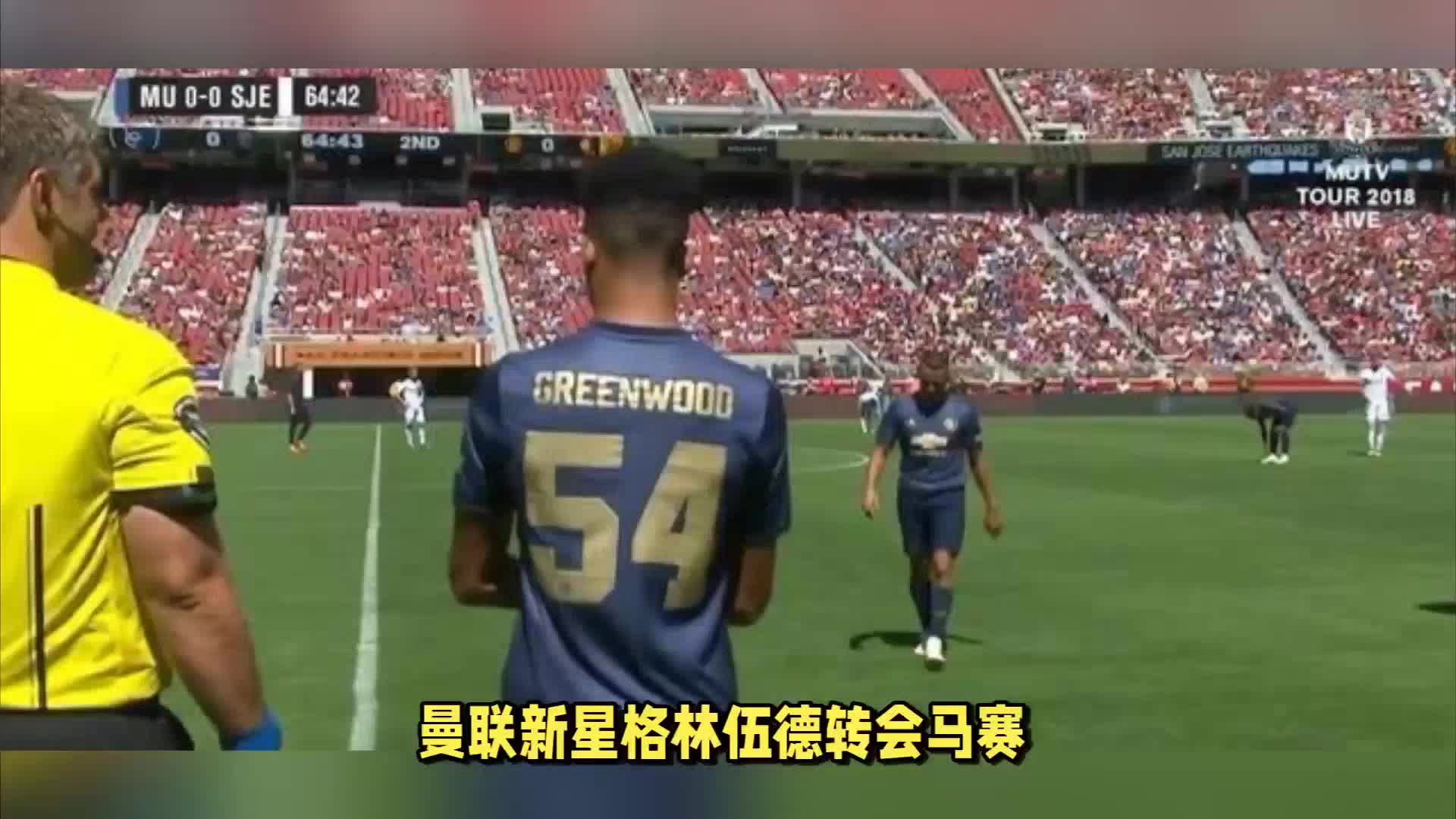 身实力的同